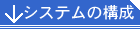 VXe̍\